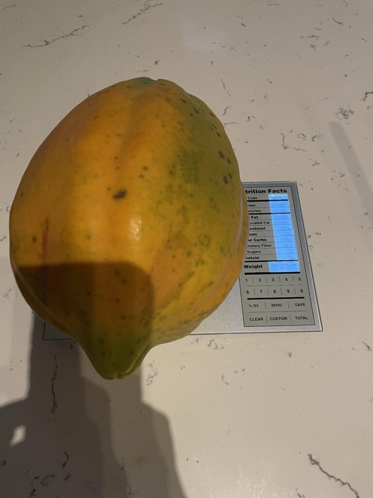 A ripe yellow-orange papaya resting on a white marble countertop next to a digital food scale showing a nutrition facts display